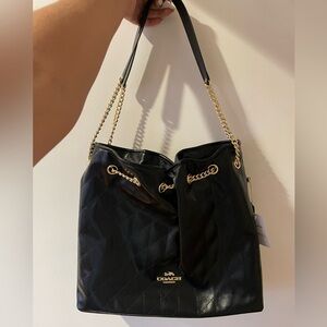 Coach Evelyn Shoulder Bag (L)